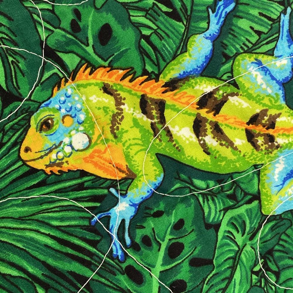 Colorful Chameleon Quilt with Blue Center and trim. Back is various patterns